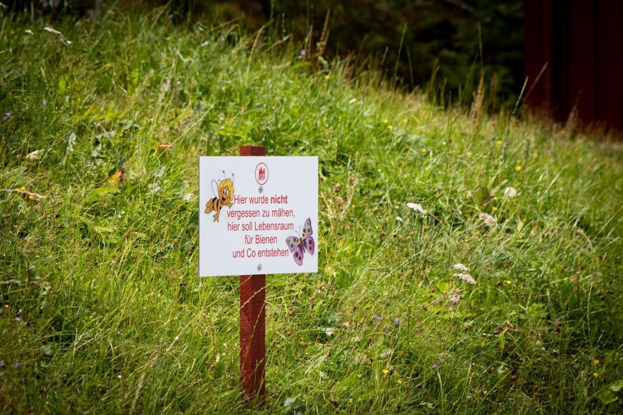 Erzgebirgsidyll Breitenbrunn - Waldhaus Neuer Anbau Luaran gambar