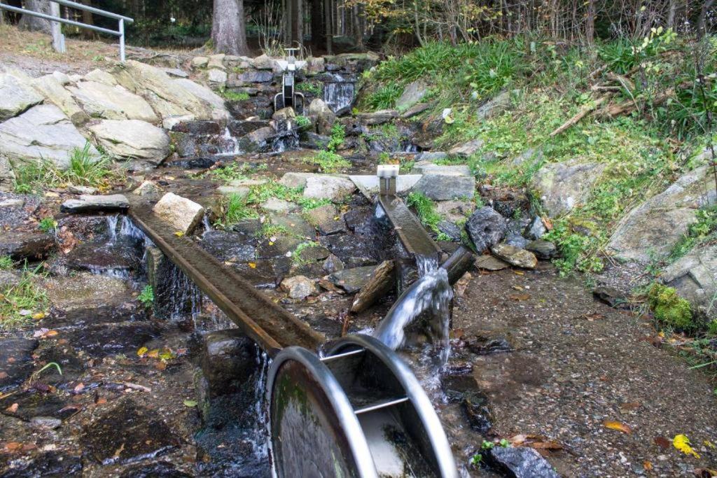 Erzgebirgsidyll Breitenbrunn - Waldhaus Neuer Anbau Luaran gambar
